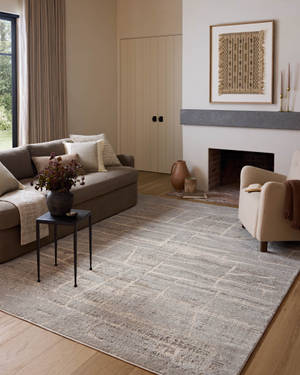 Picture of Amber Lewis x Loloi Monty 7'10" x 10' Rug