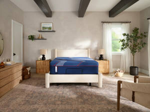 Picture of High Point II Hybrid Firm Twin XL Mattress