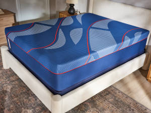 Picture of High Point II Hybrid Firm Twin XL Mattress