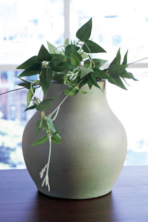 Picture of Baychester Vase